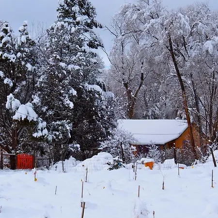 Taos Goji Farm & Eco-Lodge Retreat Arroyo Seco Room photo