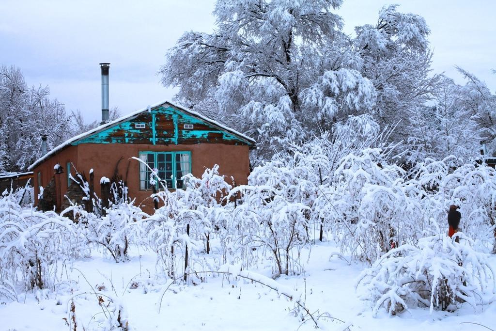 Farm stay Taos Goji Farm & Eco-lodge Retreat Arroyo Seco