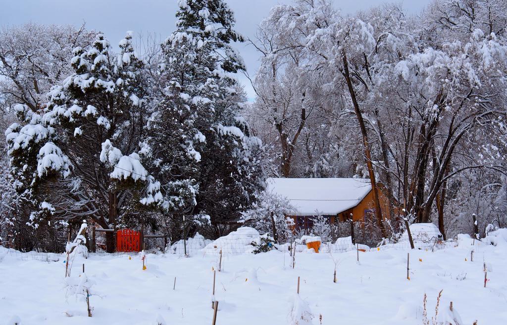 Taos Goji Farm & Eco-lodge Retreat