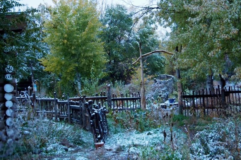 Taos Goji Farm & Eco-lodge Retreat Agroturismo Arroyo Seco