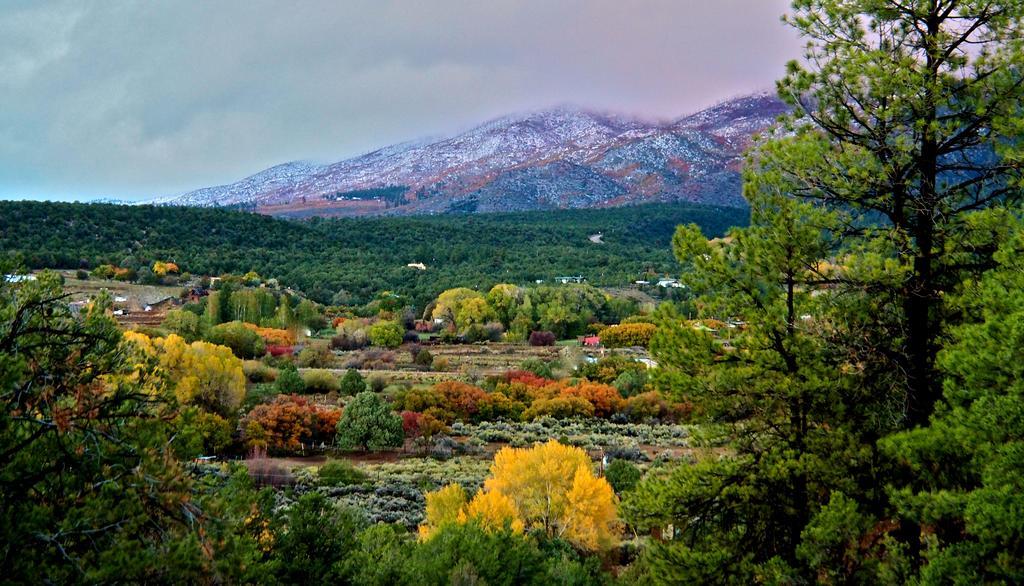 Taos Goji Farm & Eco-lodge Retreat