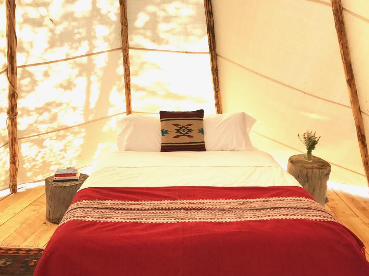 Taos Goji Farm & Eco-lodge Retreat *